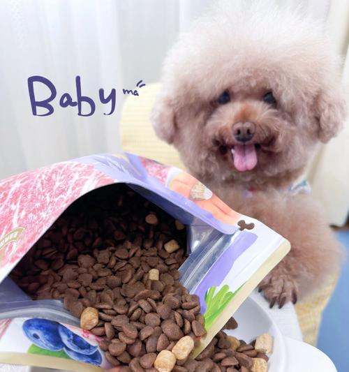 小狗不吃狗粮怎么办？15种替代食物助营养均衡