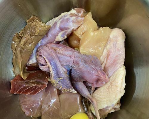 拉布拉多怀孕饮食禁忌及安全注意事项