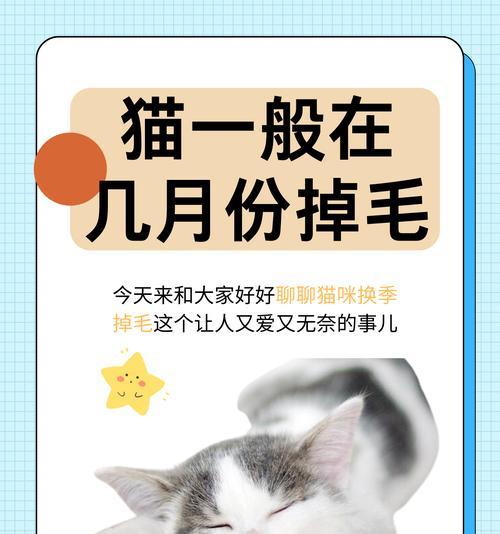 小猫陪伴成长：孩子养猫的七大好处