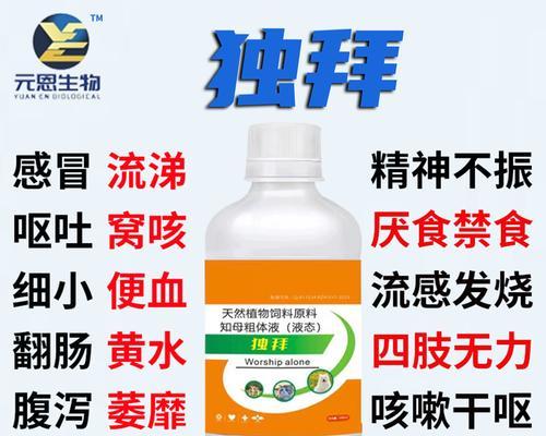 狗狗咳嗽呕吐治疗护理指南