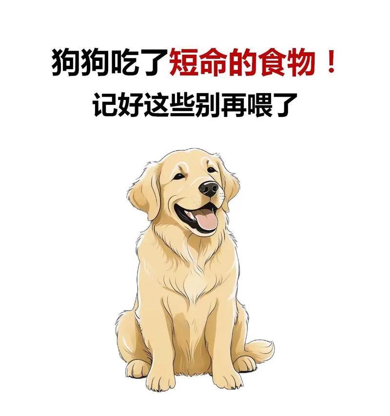 狗狗严重贫血原因解析及预防治疗指南