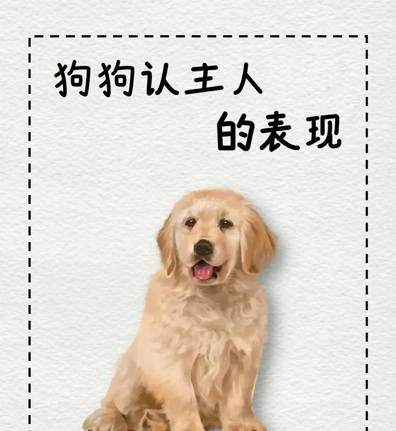 小狗摇尾巴的含义及情感表达解析