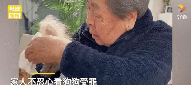 如何让狗狗安乐死并尊严离别指南