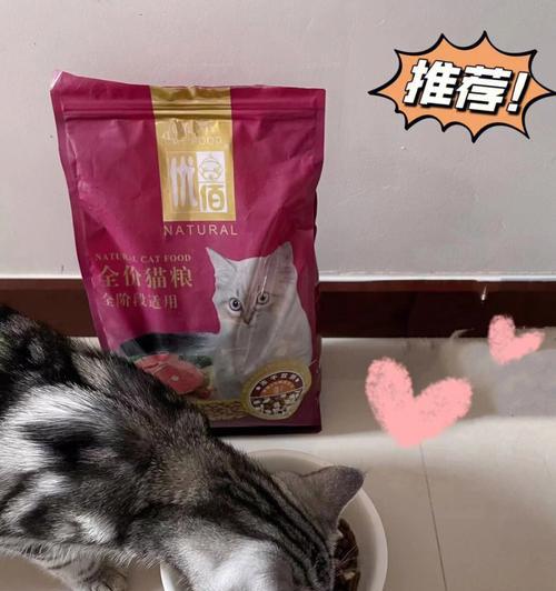 边牧毛发健康饮食秘诀：15个美毛关键