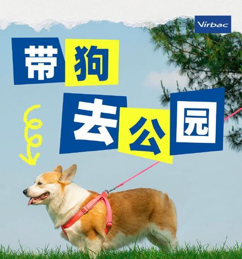 小狗驱虫的最佳时间选择（宠物养护必备，健康从小开始）