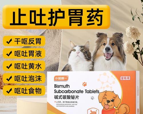 小狗呕吐腹泻如何正确治疗及护理指南