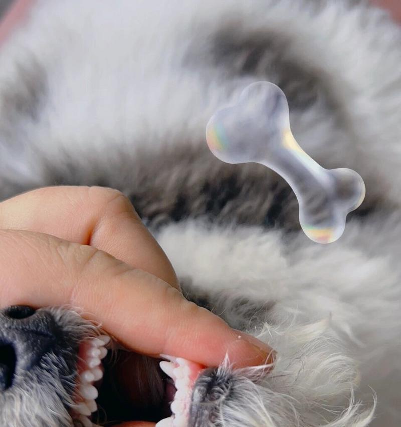 狗牙齿上硬物质原因与护牙指南