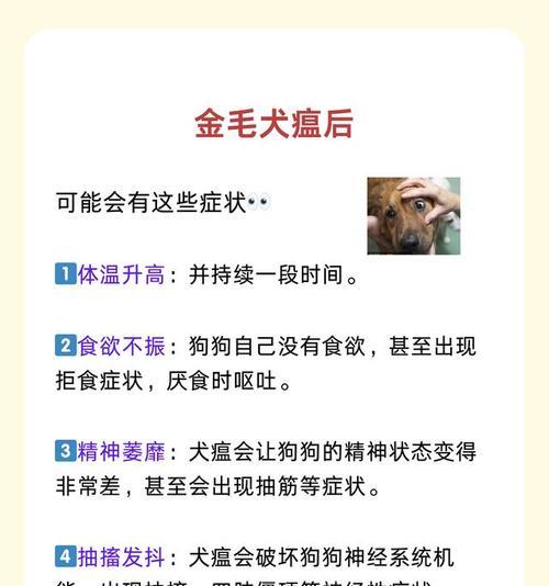犬瘟晚期症状与护理建议详解