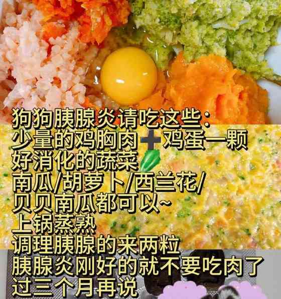 胰腺炎狗的水果饮食（胰腺炎狗的水果饮食指南，让你的宠物健康又开心！）