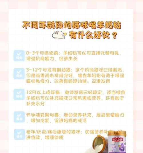 猫咪的日常饮食（了解猫每天喂养对它们健康的影响，以及如何做出正确的选择）