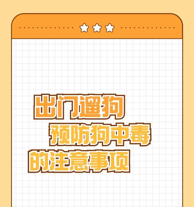 遛狗指南（以遛狗需要注意什么？教你如何正确地遛狗活动）