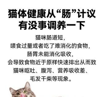 布偶猫的营养需求及合理饮食（了解布偶猫的营养需求，给予科学饮食，让它们更健康快乐）