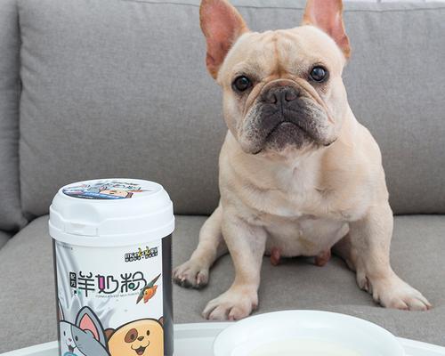 孕犬的饮食需要（了解孕犬所需营养，给予奶糕的正确方式）