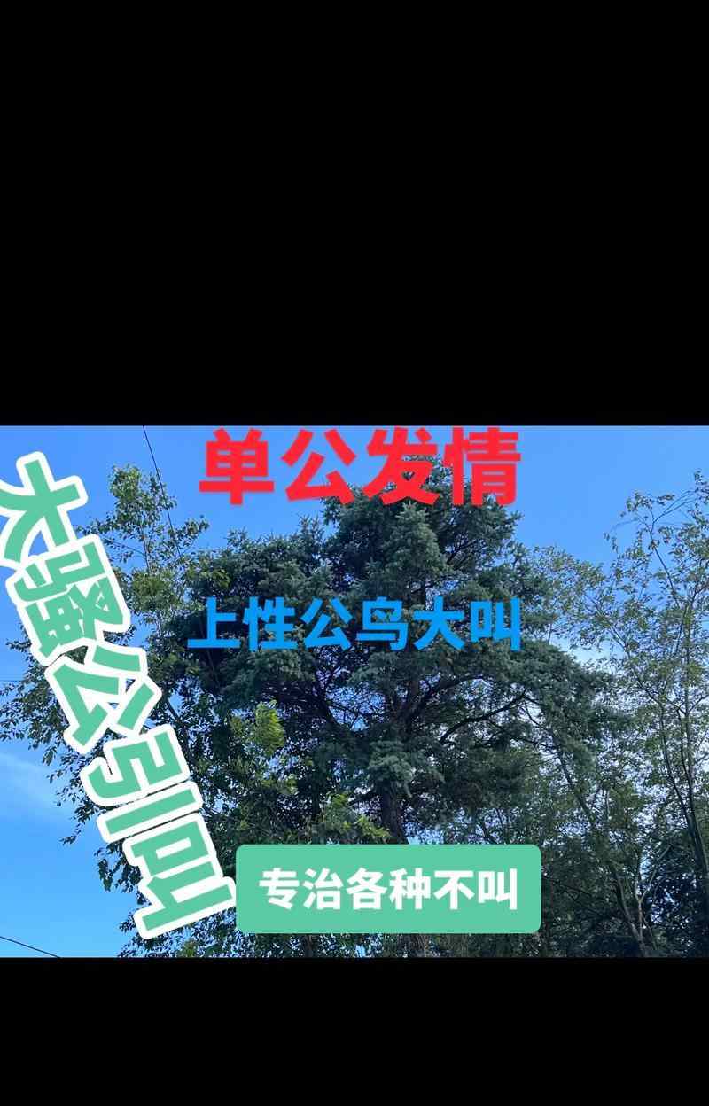 画眉鸟的叫声与意义（探索画眉鸟叫声的含义及其在自然界中的作用）