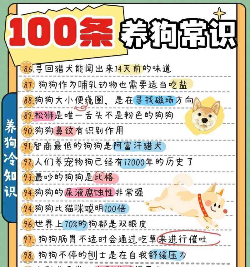 幼犬迎接新家的注意事项（如何让幼犬顺利适应新环境）