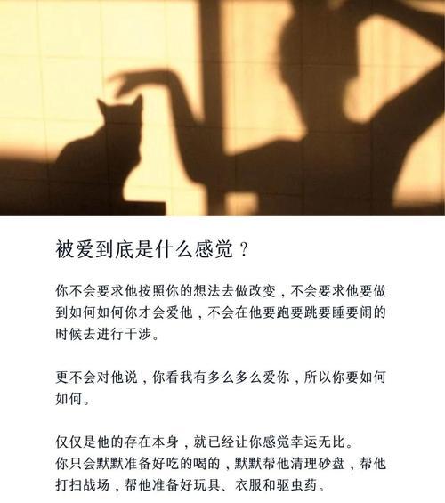文章详情图片