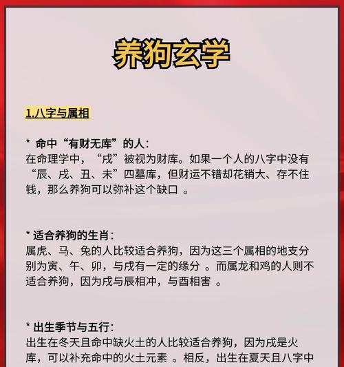 小狗的作用与益处（小狗作为宠物给人们带来的快乐和帮助）