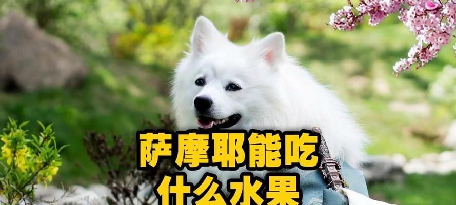 宝宝三个月可以吃什么？（为您解答孩子三个月的辅食问题）