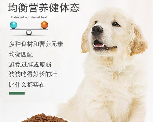 选择适合泰迪幼犬的粮食品牌（以泰迪幼犬粮什么牌子好？选对粮食关键在于健康）
