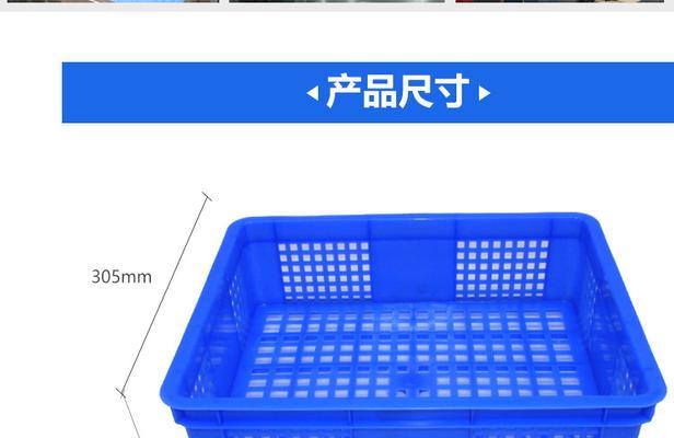 探究以305属于什么品种的奥秘（解读305品种的特征与应用领域）