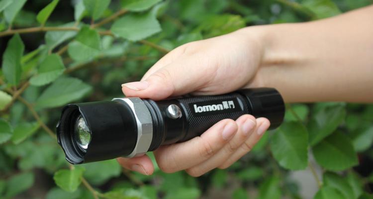 探寻耳朵是否藏有虫子的秘密（解析虫子入侵耳朵的症状、治疗方法和预防措施）