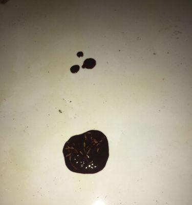 狗狗尿液的颜色对健康的影响（了解狗狗尿液颜色的重要性及其健康暗示）