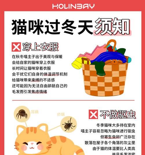 猫的驱虫时机与注意事项（了解猫的驱虫周期，做好预防措施）