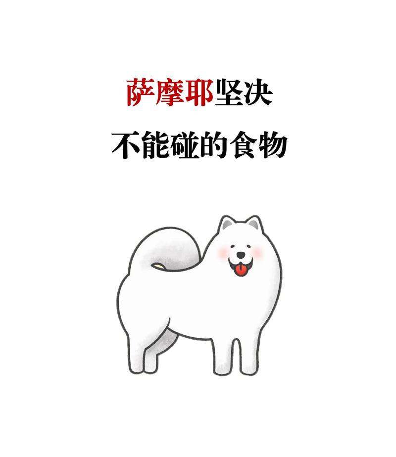 萨摩耶犬毛发护理与饮食管理要点