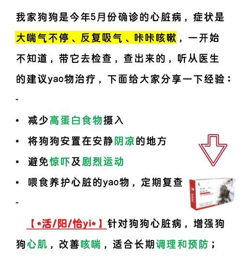 狗狗咳嗽的原因分析与处理方法全解析
