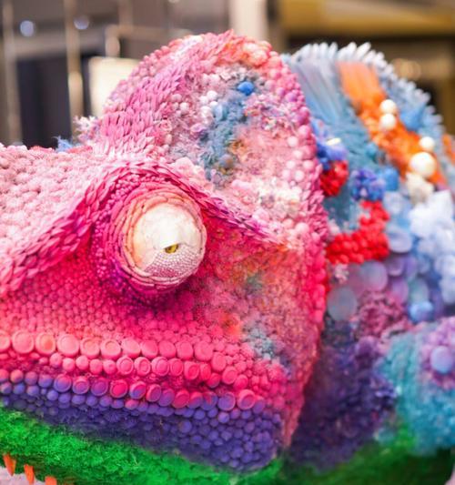 高冠变色食物喜好与健康益处揭秘