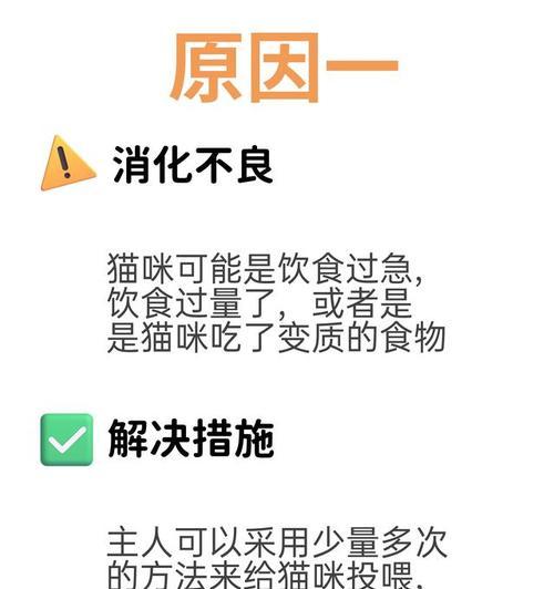 猫咪一天吃一次食物且呕吐的原因与改善方法