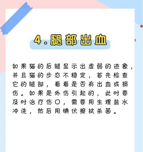 猫咪走路不稳的原因与改善方法分析