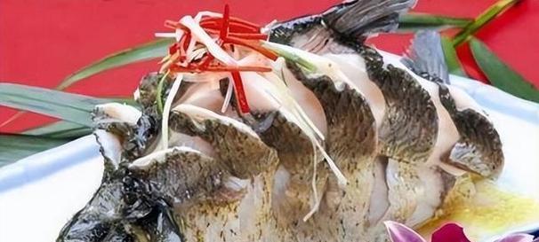 鱼类食物选择与饮食习惯多样性探索