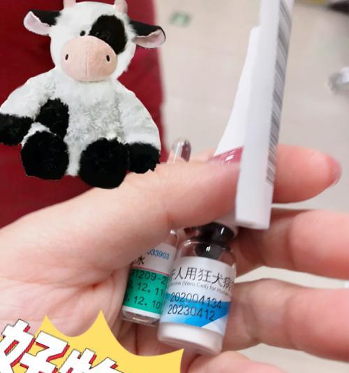 满月小狗养护与疫苗接种全攻略指南