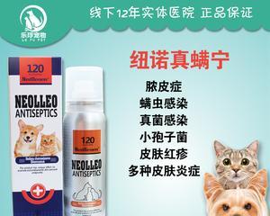 狗狗湿性皮炎治疗药物选择指南：抗生素抗真菌药应用方法