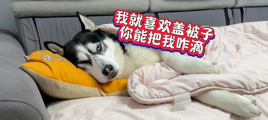 睡觉时盖被子的重要作用与多重健康益处