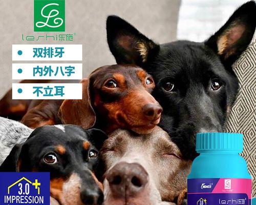 博美犬补钙指南：如何选择适合的钙片和正确用量