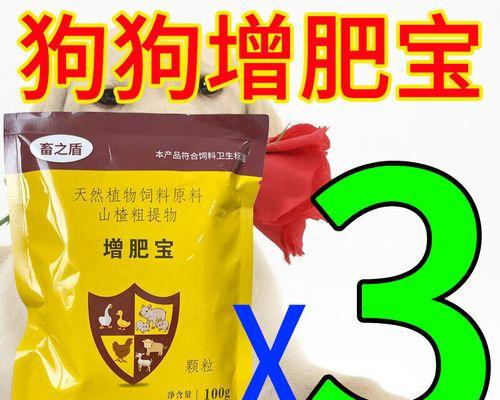 狗粮选择不当致犬只体重超标，科学喂养维护宠物健康