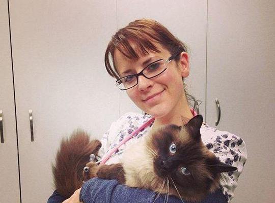 喜欢宠物如何转化为职业机会 15种与动物共事的理想工作