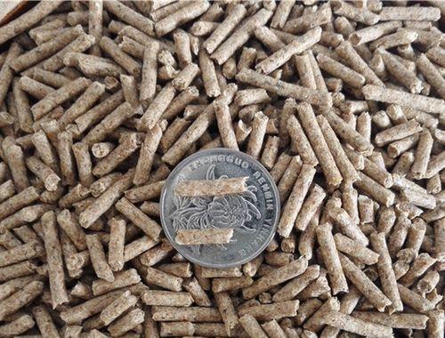 荷兰猪抽筋症状识别与防治指南：肢体僵硬肌肉痉挛处理方法