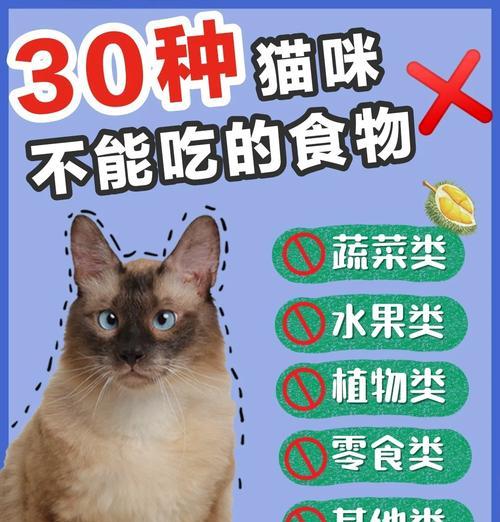 猫咪饮食指南：哪些食物能吃哪些不能吃完全解读