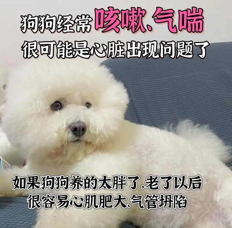 文章详情图片