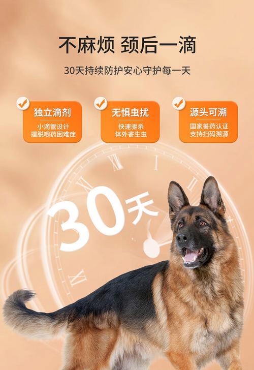 一月龄幼犬驱虫全攻略：安全有效的寄生虫防治方法