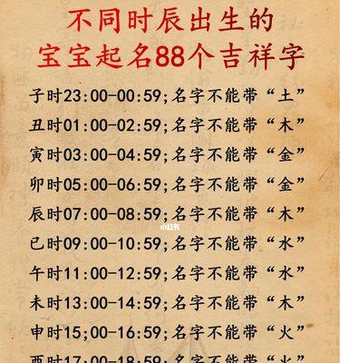 狗宝宝最佳养育时机选择指南：从孕期到成年的全程呵护要点