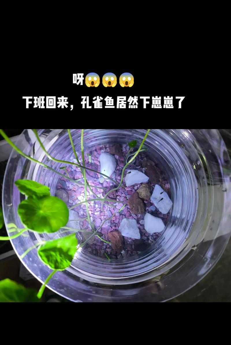 文章详情图片