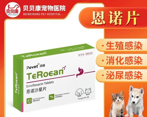 狗狗子宫蓄脓治疗方法详解：抗生素选择与用药注意事项