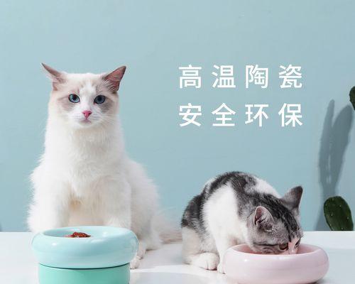 猫咪贪吃引发的健康问题及预防措施全攻略