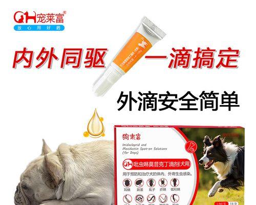 狗狗体内驱虫全攻略：守护宠物与家人健康的关键措施