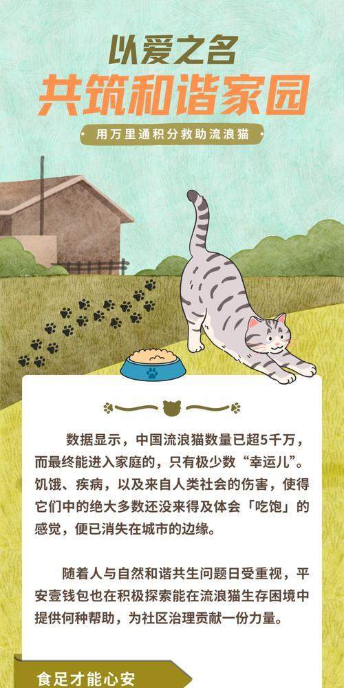 猫咪饮食时间安排全攻略：科学喂养提升宠物健康