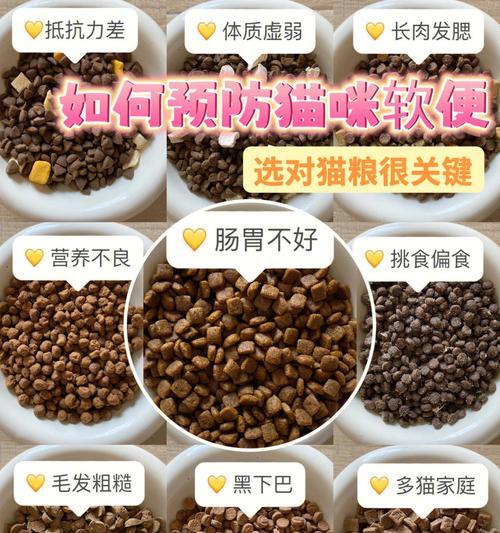 猫咪软便吃什么药好？原因分析与安全用药指南